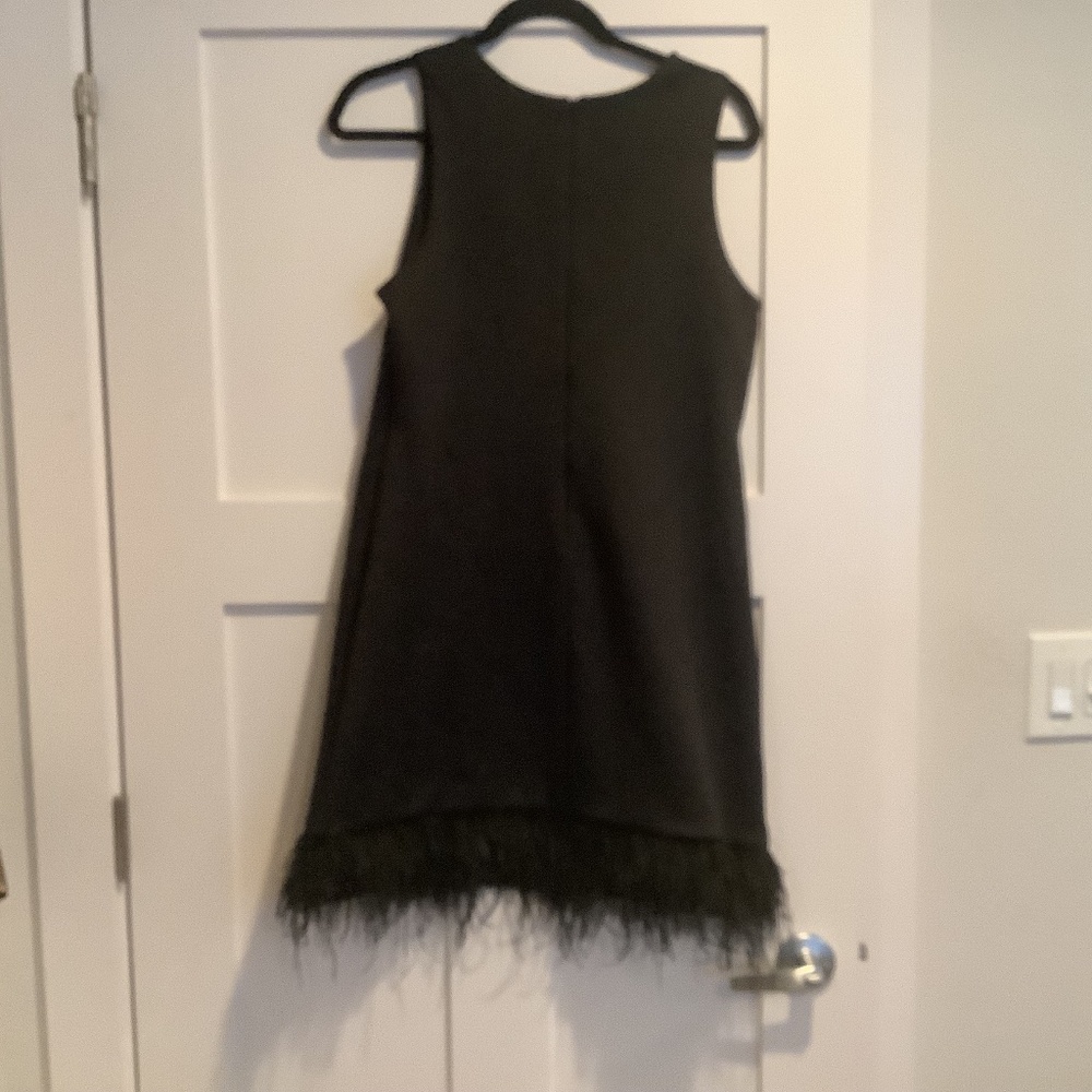 Black dress with feather on bottom